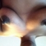 Roxymeeks1313
