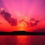 pollux
