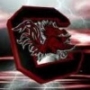 nighthawk29505